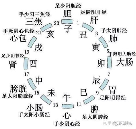 地支歌|倪海厦人纪针灸—十二经纳天干地支